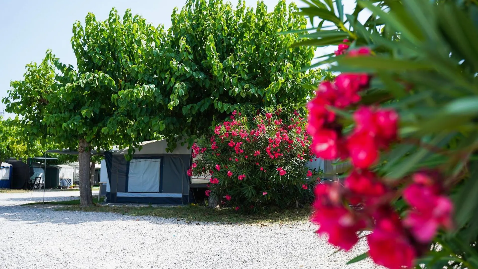 Campsite Camping Vila Village Sant Feliu de Buixalleu Spain